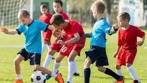 自信之根：穿越时空，简意创作探秘