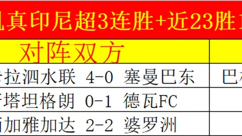 陈柏阳、刘毅勇闯马来西亚羽毛球公开赛男双四强